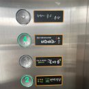 비츠비츠구미금오산점 이미지