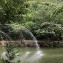 내고향전주식당 | 6시내고향 완주 전주도깨비시장 계곡식당 산골산장 위치 주소 연락처 안내