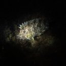 남해-262 이미지