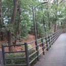 구로-구로-구로-781 이미지