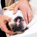 투게더 동물병원 이미지