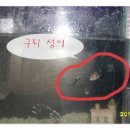 쏘리.빠리 이미지