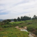 원흥천 이미지