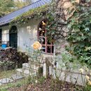 대청호반 이미지