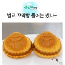 매시랍게(보성시니어클럽) | 들어는 봤나~ 보성 시니어클럽 벌교 꼬막빵