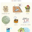 다온튼튼의원 네이버블로그