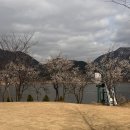 정자나루 이미지