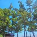 솔밭에덴하우스 이미지