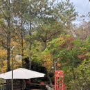 오이코스테이 이미지