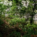 퇴계원5리 이미지