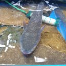 소래목장 이미지