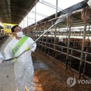 이기수농장 이미지