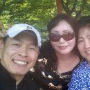 송스코인