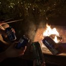 미르의 뜰 이미지