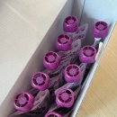 파이토뉴트리 | 삼부커스 엘더베리, 어린이 아연 함께 챙기는 파이토뉴트리 이트뮨 엘더베리사과주스 후기