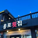 협재리체 | 한림 협재 회포장 옹포횟집 회포장 후기