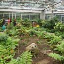 구름밭하우스 이미지