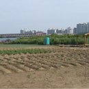 우남농장 이미지