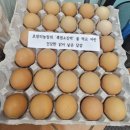 초방리농장 | 화순 염소탕 <초방리흑염소가든>