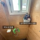 설악궁전식당 네이버블로그