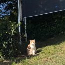 (유)가스온 이미지