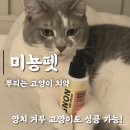 미뇽 캣 | 미뇽 덴티 캣 고양이뿌리는치약으로 스트레스 없이 고양이 치석관리하기
