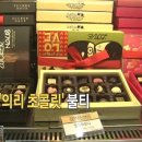 분당-311 이미지