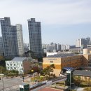 나래초등학교 | 세종 가재마을 7단지 중흥S클래스, 실거주자가 말하는 진짜 후기와 시세 트렌드