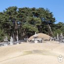 여주한글시장오일장 이미지