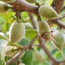 남송농원 이미지