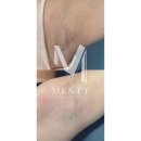 메스티(MESTY) 네이버블로그
