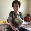 수복상회 이미지