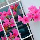 서산중앙병원 이미지