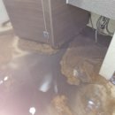 서초동 오피스텔 이미지