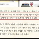 전안초등학교 네이버블로그
