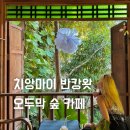 숲카페 - 수성구 | 숲카페