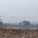 노루목길1 이미지