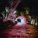 별빛마을 이미지