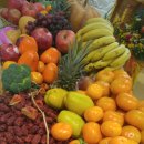 신형순농장 이미지