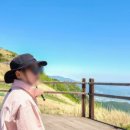 구성사슴농장 이미지