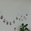 젤리그루밍 이미지