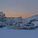 라마리차 이미지