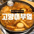 2235 | 동탄 즉석떡볶이 맛집 고양이부엌에서 맛있게 먹은 내돈내산 후기
