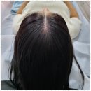 유지도트 이미지