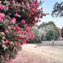 가든인제주 이미지