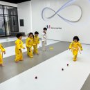 국기태권도 이미지