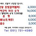 호돌이초장집