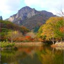 제403차 내장산 국립공원 백암산 상왕봉(전북 정읍) 정기산행(2012.11.3) 이미지