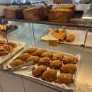 마고플레인 이미지