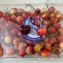 새순농장 이미지